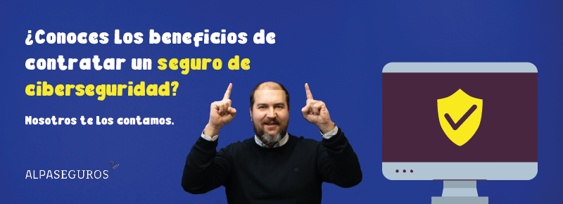 Ciberseguridad Faldón