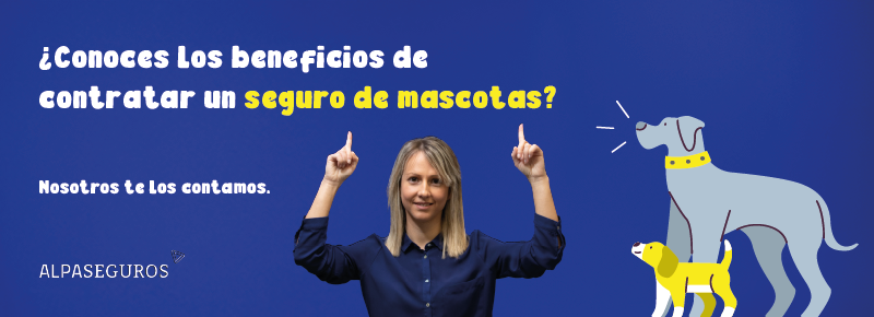 Mascotas faldón
