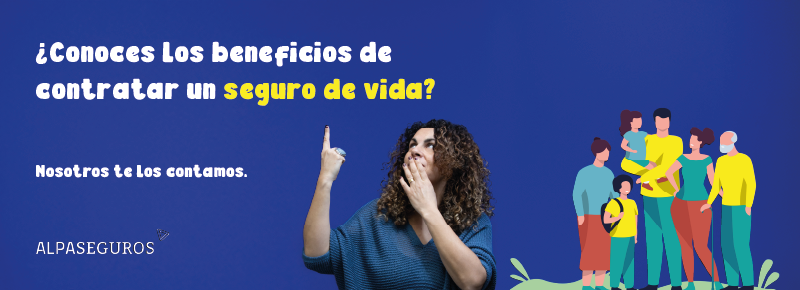 Vida faldón