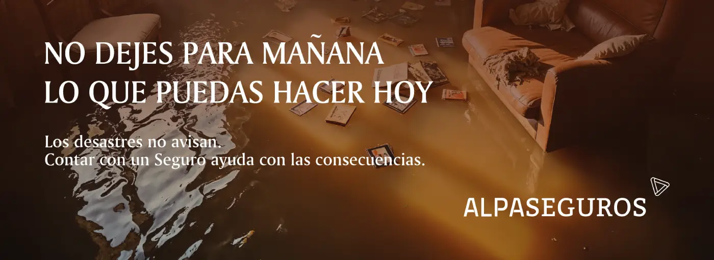 banner-alpa-2501